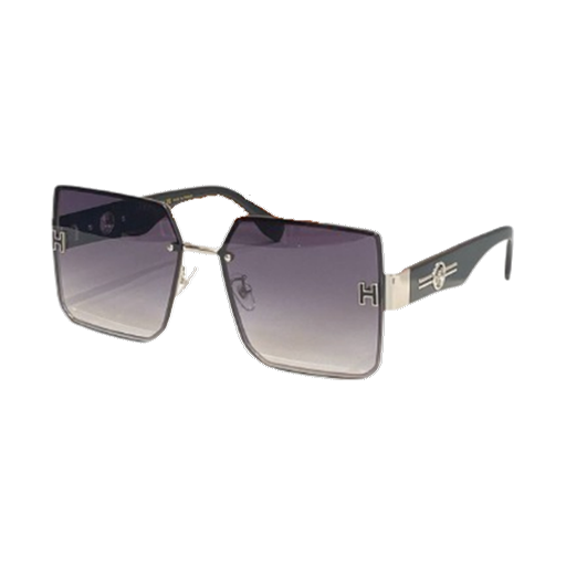 Hermes Sunglasses